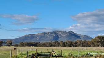 Farm Property for Sale - 43007 South Coast Highway Manypeaks WA 6328