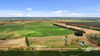 Farm Property for Sale - 560 McKenzie Road Mingbool SA 5291