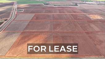 Farm Property for Sale - 73 Mirrool Branch Canal Road Hanwood NSW 2680