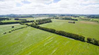 Farm Property for Sale - 1140 Curdies-Leichfield Road Cobrico VIC 3266