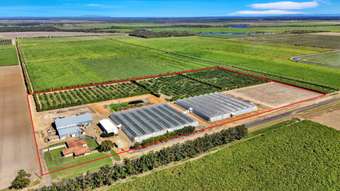 Farm Property for Sale - 345 Wises Road Alloway QLD 4670