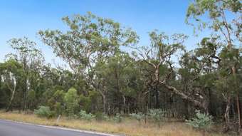 Farm Property for Sale - Lot 57  Ironbark Drive  Millmerran Woods QLD 4357