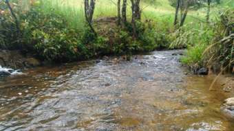 Farm Property for Sale - Topaz QLD 4885