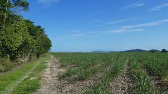 Farm Property for Sale - Cowley QLD 4871