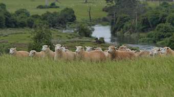 Farm Property for Sale - 55 Selby Road Hagley TAS 7292