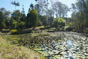 619 Bulldog Road Bulldog NSW 2469