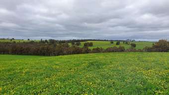 Farm Property for Sale - 950 Bokerup Road Frankland River WA 6396