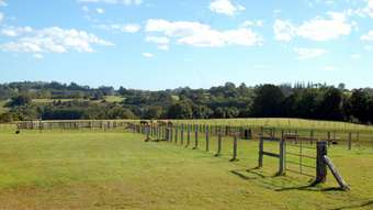 Farm Property for Sale - 37 Alcorn Road Tintenbar NSW 2478