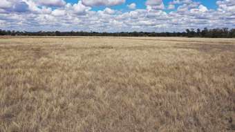 Farm Property for Sale - 0 Raslie Road Wallumbilla QLD 4428