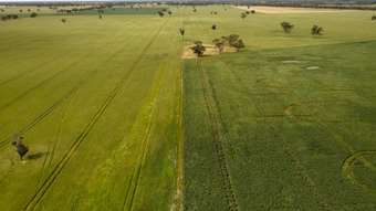 Farm Property for Sale - 162 Pier Point Road Custon SA 5269