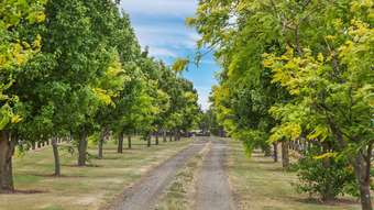 Farm Property for Sale - 105 Powers Lane Birregurra VIC 3242