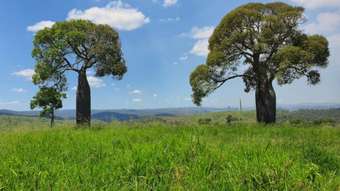 Farm Property for Sale -  Tellebang Road Monto QLD 4630