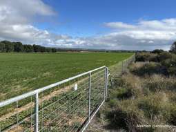 Farm Property for Sale - . Williams-Kulin Road Wickepin WA 6370