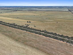 Farm Property for Sale - 2293 Mallee Highway Sherlock SA 5301