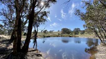 Farm Property for Sale - Lot 133, 1 Mutton Falls Road O'connell NSW 2795