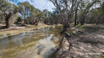 Farm Property for Sale - 1196 Bennies Road Wanerie WA 6503