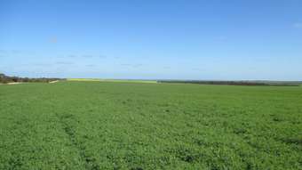 Farm Property for Sale - 8717 Hyden-Lake King Road Varley WA 6355