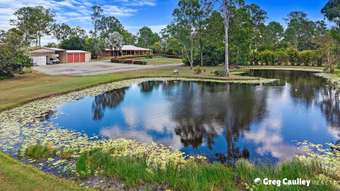Farm Property for Sale - 907 River Road Tinana South QLD 4650