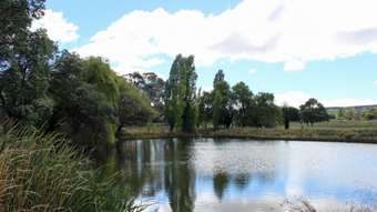 Farm Property for Sale - Meadow Flat NSW 2795