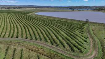 Farm Property for Sale - "Yett Burnett Highway Gayndah QLD 4625