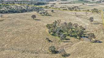 Farm Property for Sale - 1128 Scrub Road Tenterfield NSW 2372