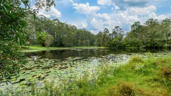 Farm Property for Sale - 302 Sippy Creek Rd Ilkley QLD 4554