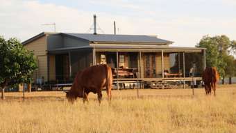 Farm Property for Sale -  BURRADOO Roma QLD 4455