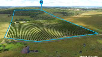 Farm Property for Sale - 226 Sondergelds Road Mcilwraith QLD 4671