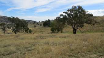 Farm Property for Sale - Lot 162 Tarrants Gap Road Wyangala NSW 2808