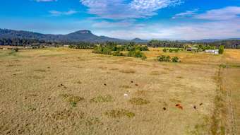 Farm Property for Sale - 80 Carrs Road Bridges QLD 4561