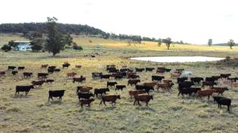 Farm Property for Sale - 1466 Yarrabandai Road Forbes NSW 2871