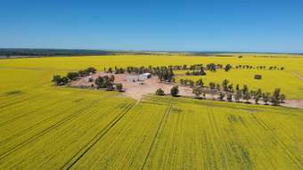 Farm Property for Sale - 235 Telegraph Road West Binnu WA 6532
