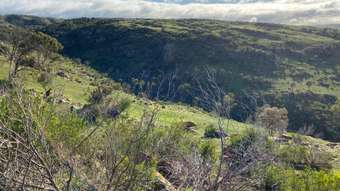 Farm Property for Sale - 707 Jutland Road Eden Valley SA 5235