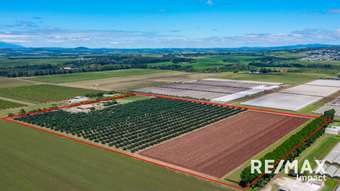 Farm Property for Sale - 119 Beantree Road Atherton QLD 4883