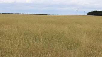 Farm Property for Sale - 505 Ramsay Road Irrewarra VIC 3249