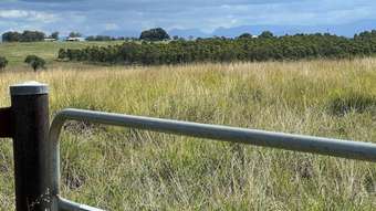 Farm Property for Sale - 151-155 Parcells Road Harrisville QLD 4307