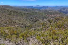 Farm Property for Sale - 2515 Nullo Mountain Road Rylstone NSW 2849