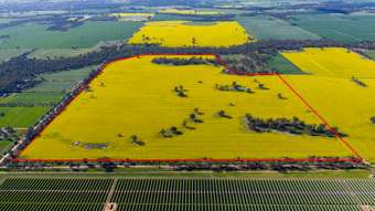 Farm Property for Sale - 445 Kellys Road Numurkah VIC 3636