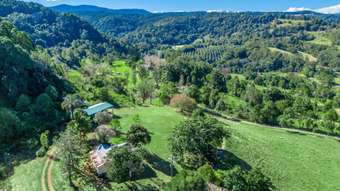 Farm Property for Sale - 35 Town Road Terania Creek NSW 2480