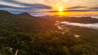 Farm Property for Sale - 658 Glengarrie rd Tomewin NSW 2484