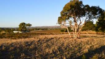 Farm Property for Sale - Lot 1 Hunt Road Mclaren Flat SA 5171