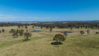 Farm Property for Sale - 1692 Grafton Road Armidale NSW 2350