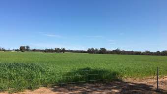 Farm Property for Sale - . Highbury East Road Highbury WA 6313