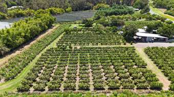 Farm Property for Sale - 308 Pine Creek Way Bonville NSW 2450