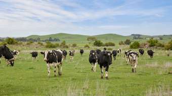 Farm Property for Sale - 70 Mahoods Road Alvie VIC 3249