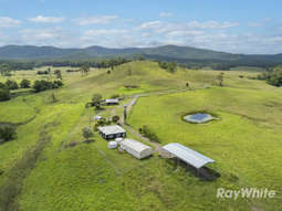 Farm Property for Sale - 345 Markwell Back Road Bulahdelah NSW 2423