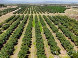 1611 Mareeba-Dimbulah Arriga QLD 4880