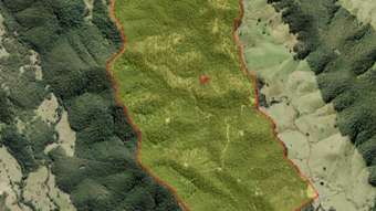 Farm Property for Sale - 271 Prices Creek Road Bunyah NSW 2429