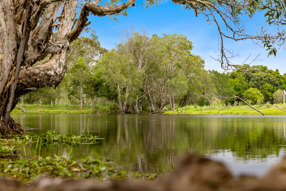 Farm Property for Sale - 6 Canando Street Woodford QLD 4514