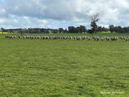 Farm Property for Sale - Lot 4572 Gorn Road Bokal WA 6392